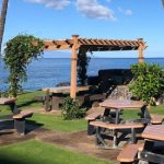 Group logo of SVA Members