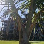 Group logo of SVA Board Members Only